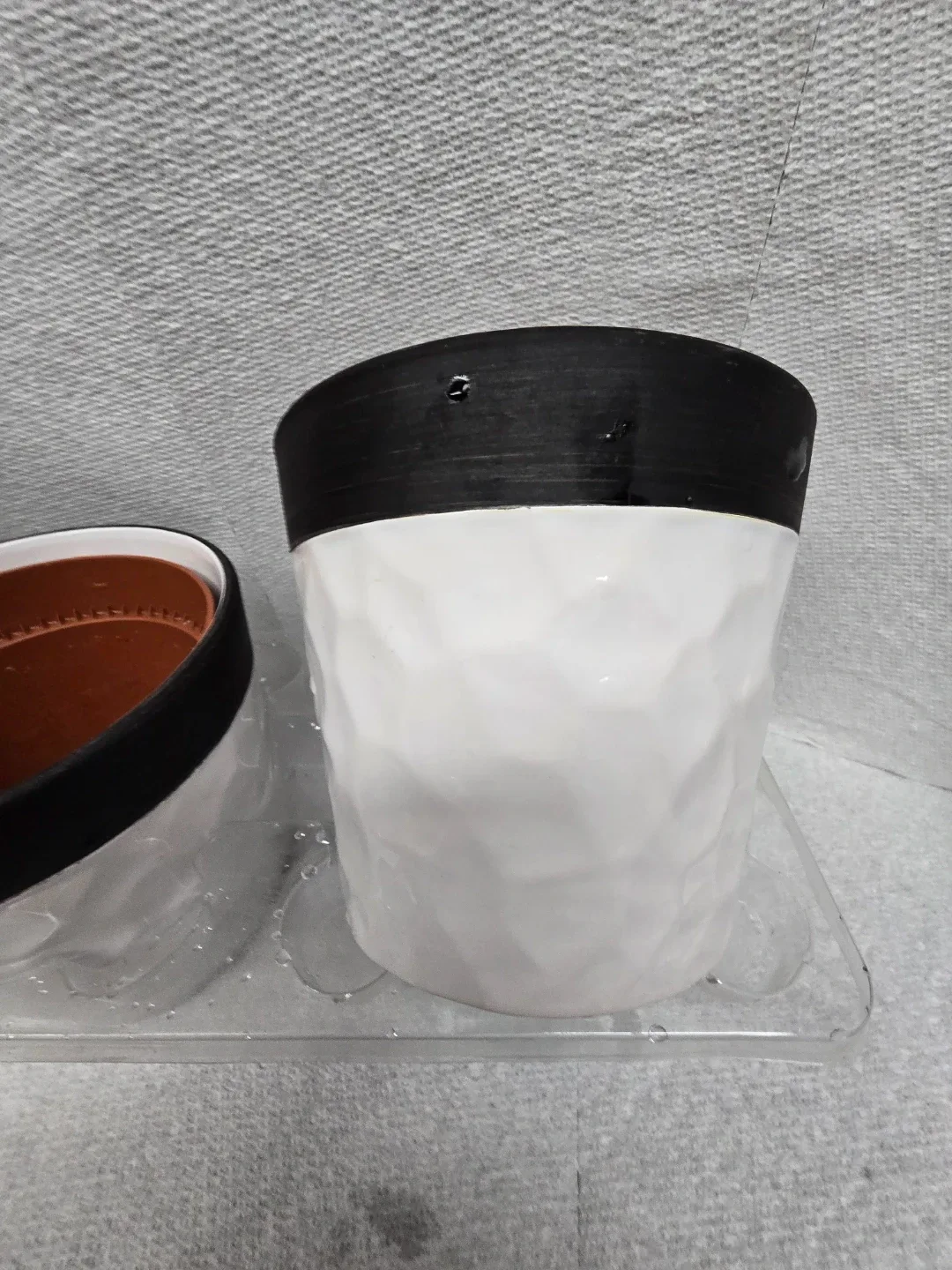 Potted Hoya Plant with set of 2 empty  White Ceramic Pot image indicator(4)