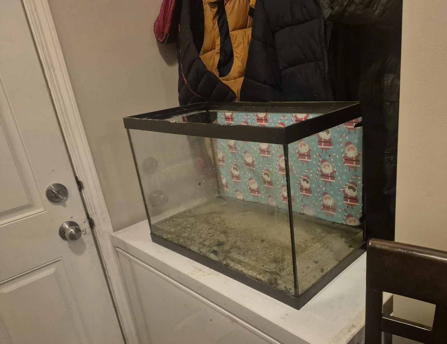 Nice Terrarium *REAL DEAL* - photo 2