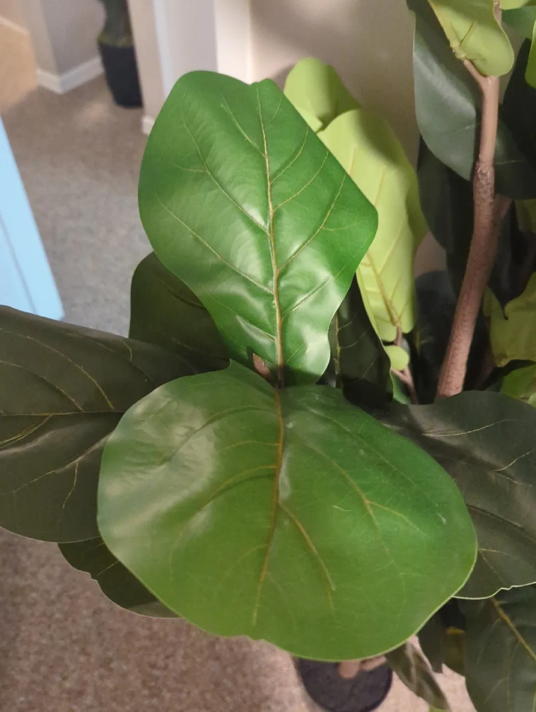 Faux Fiddle Leaf Fig Tree image indicator(2)