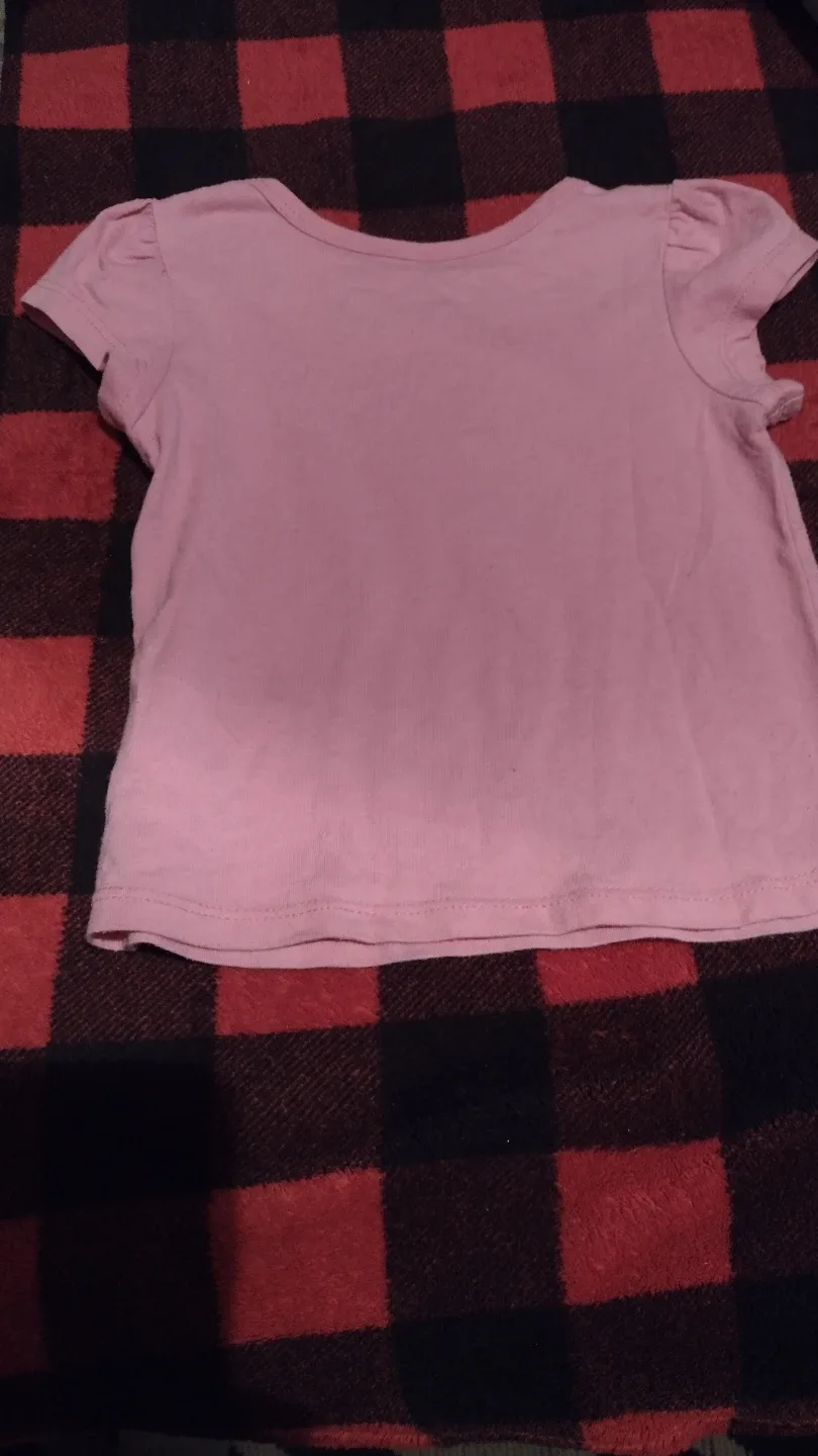 Nickelodeon Paw Patrol Pink T-Shirt Size 2 image indicator(3)