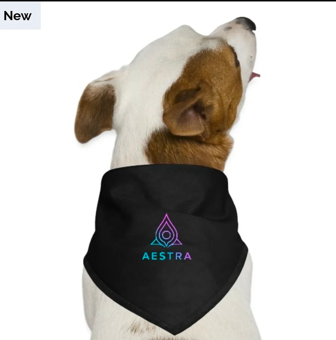 Aestra Apparel - New image indicator(7)