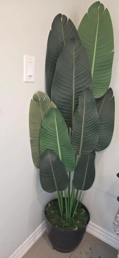 Faux Bird of Paradise Plant