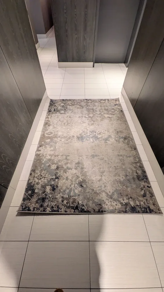 Area Rug - Neutral Tones