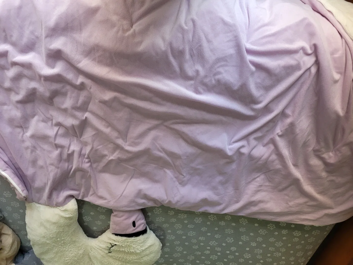 Swan blanket/ sleeping bag image indicator(3)