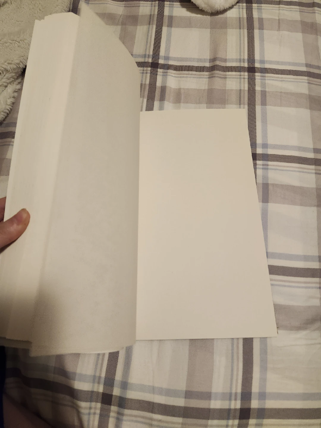 Brand New Zenacolor Sketch Book 9x12 in - photo 2