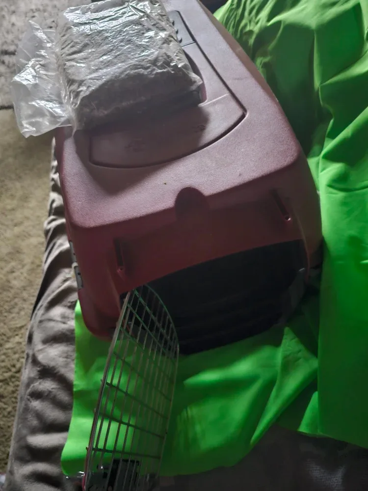 Cat cage with food. image indicator(2)