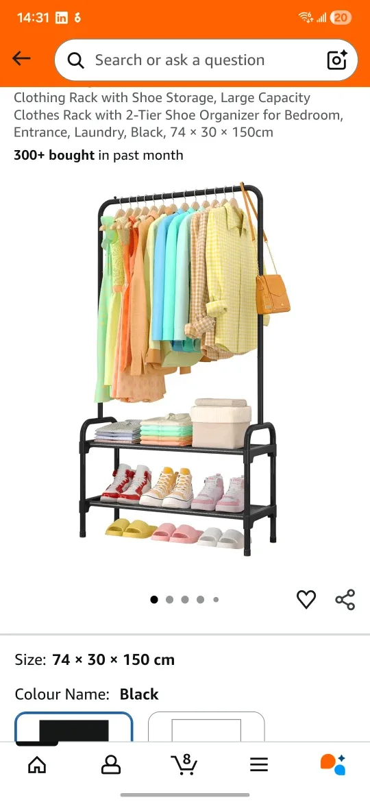 Black Clothing Rack with Shoe Storage