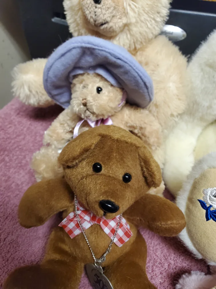 Assorted Plush Teddy Bears image indicator(3)