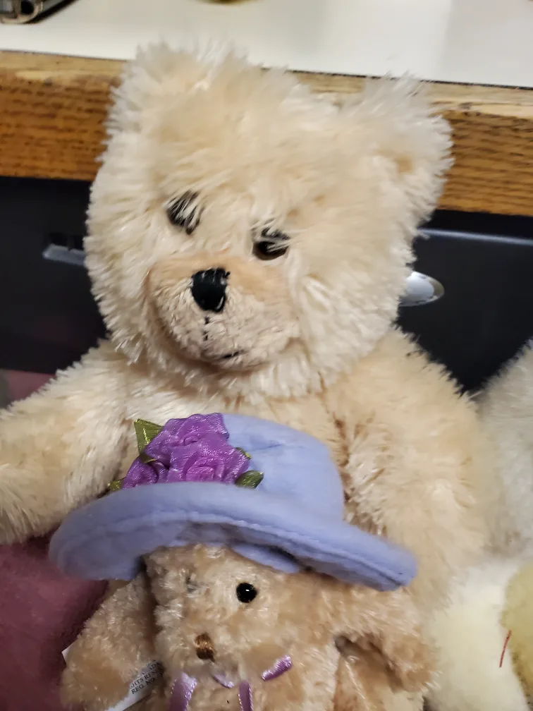 Assorted Plush Teddy Bears image indicator(5)