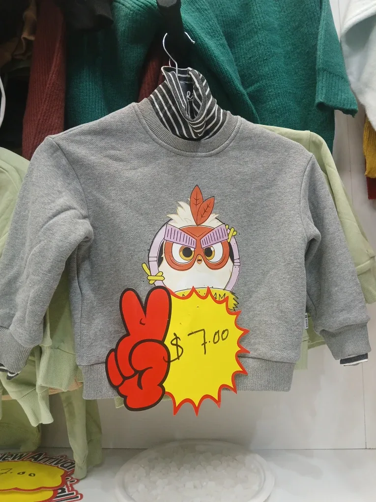 Kids' Grey Owl Sweatshirt and shoes under  10 dollars