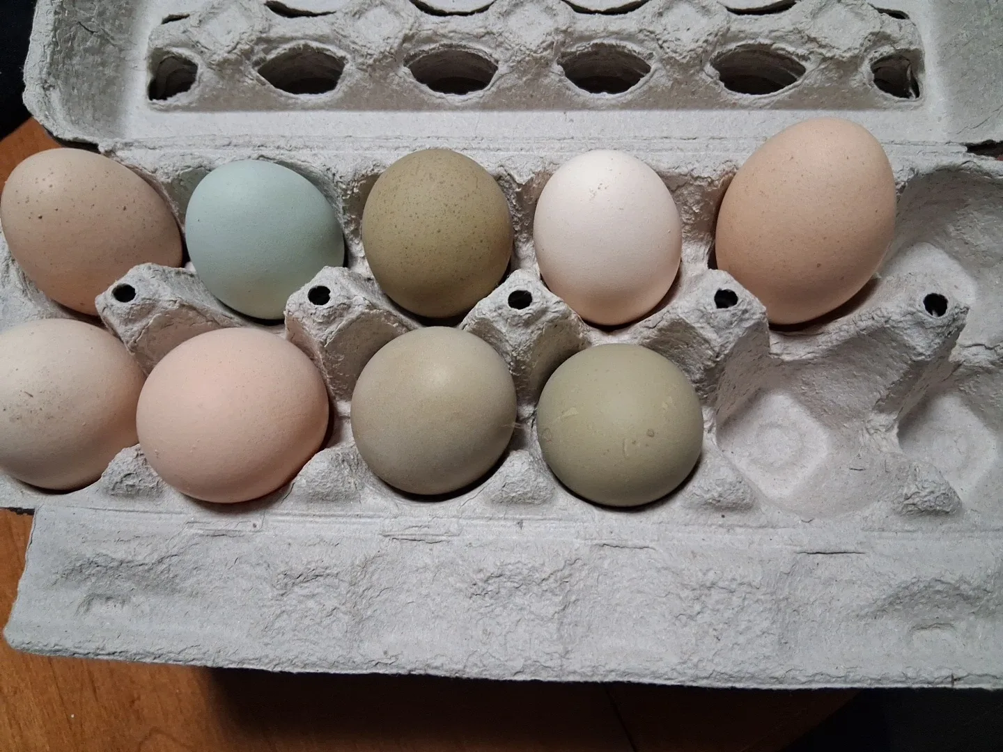 Fresh Farm Eggs - Assorted Colours image indicator(2)
