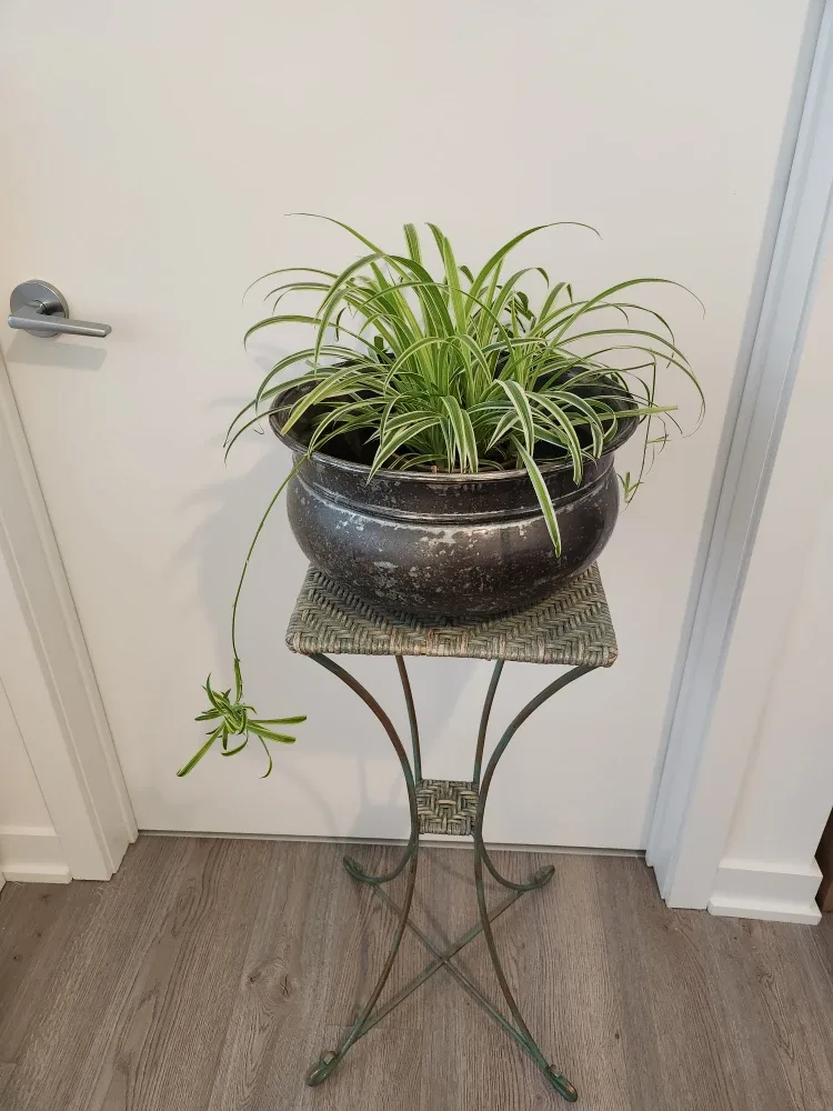 Vintage Metal Plant Pot & Stand image indicator(2)