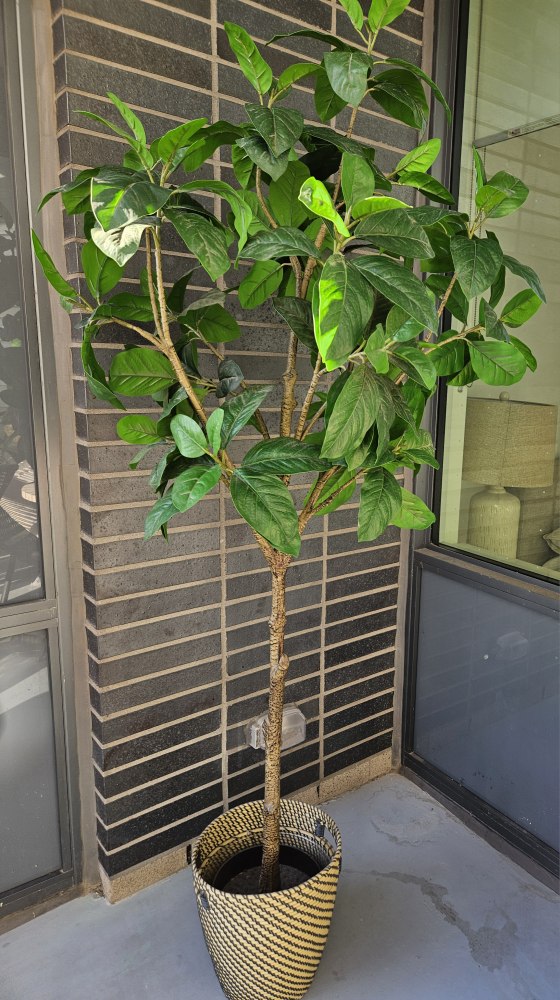 Faux Tree in Wicker Pot
