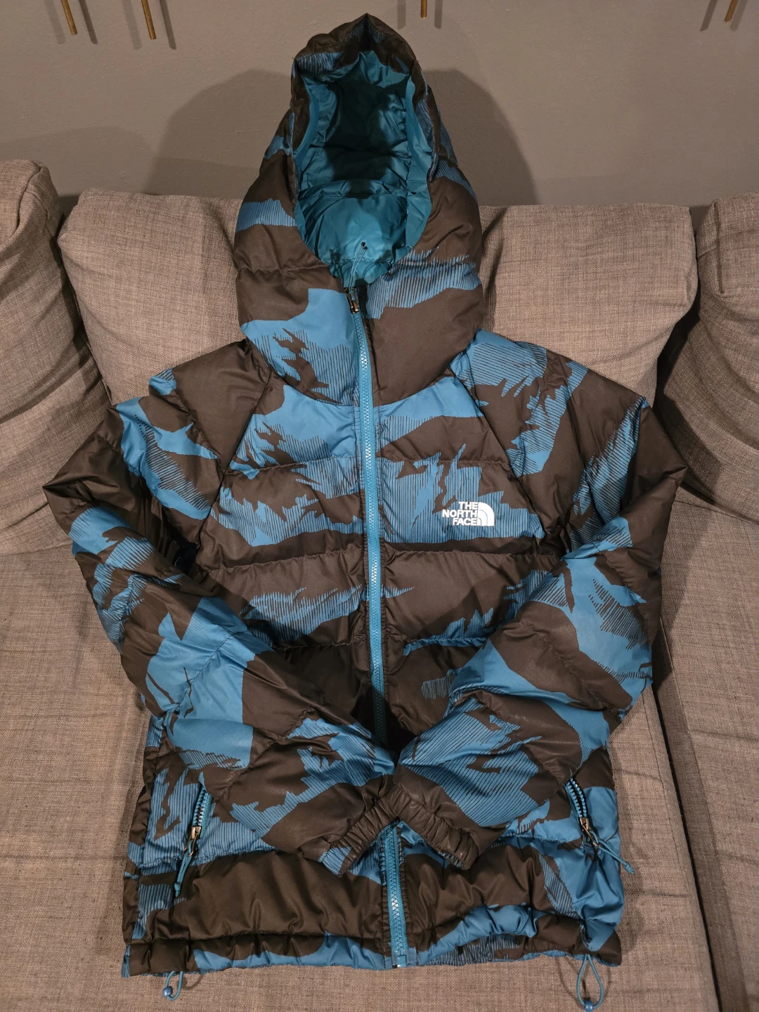 The North Face Men's Hydrenalite Down Hooded Jacket