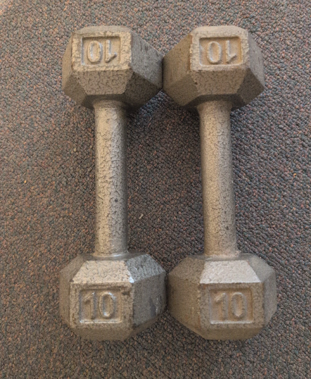 Pair of 10 lb Dumbbells