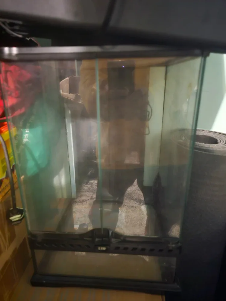 Terrariums image indicator(2)