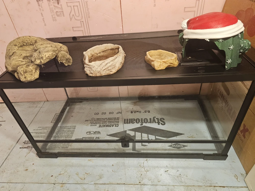 Terrariums - photo 3