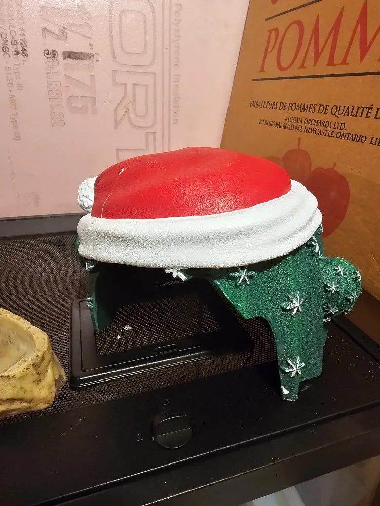 Terrariums image indicator(4)