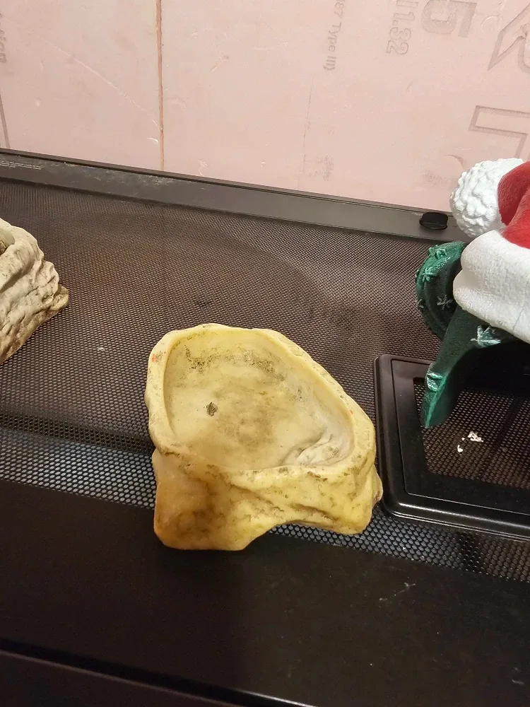 Terrariums image indicator(5)