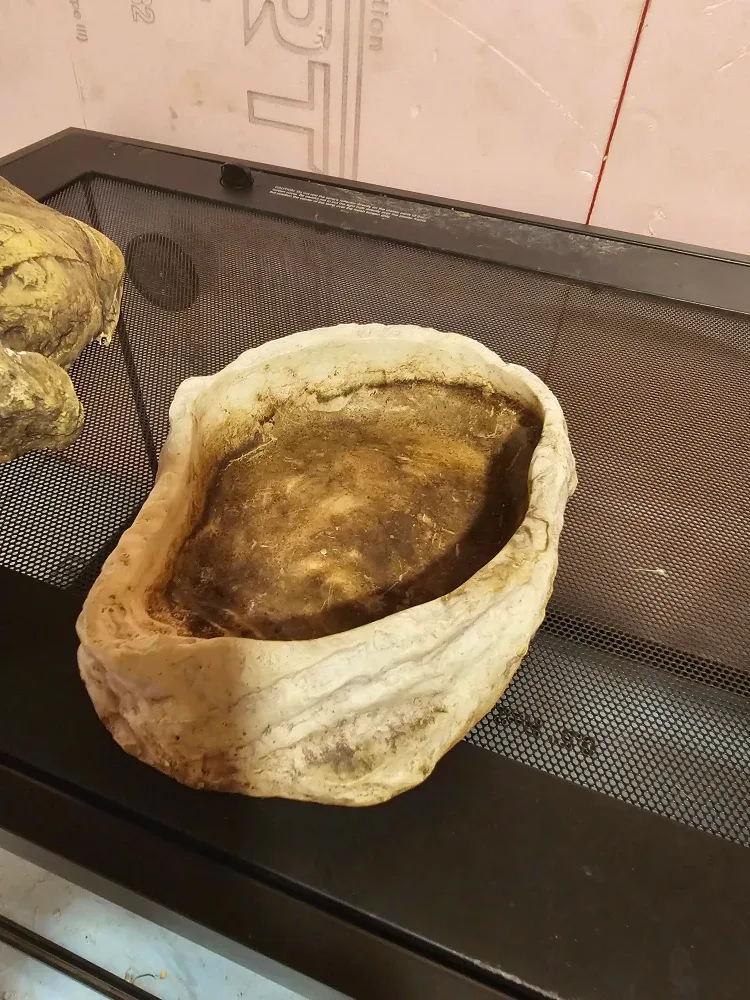 Terrariums image indicator(6)