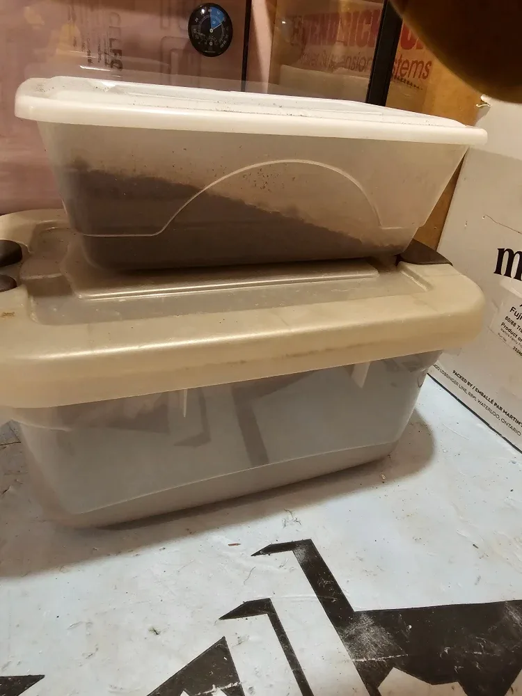 Terrariums image indicator(8)