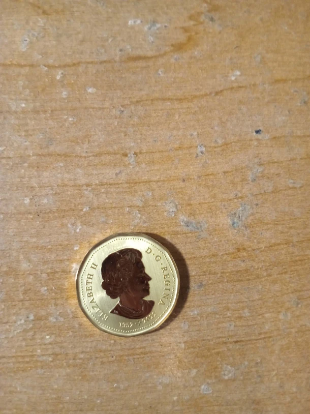 2023: 1952-2022 Cad Loonie - photo 4