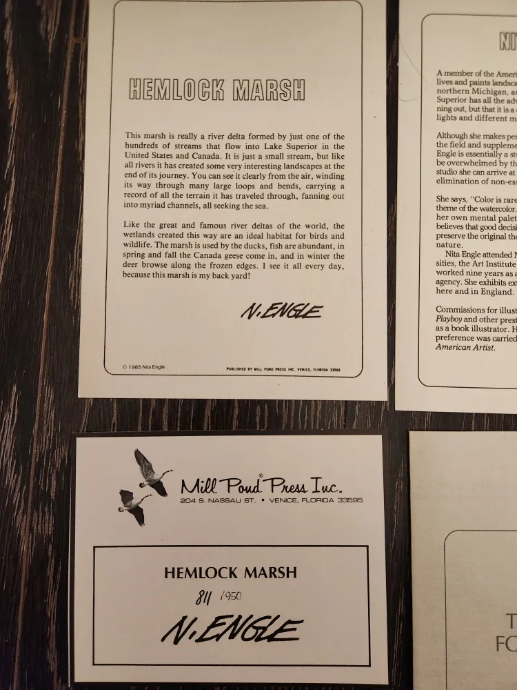 Framed Hemlock Marsh  by N. Engle - Limited Edition Print image indicator(4)