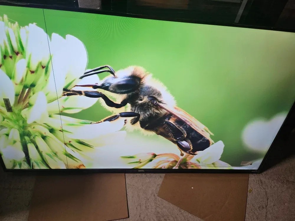 NOT NEGOTIABLE! 55" ONN 4K SMART ROKU TV! $135 image indicator(6)