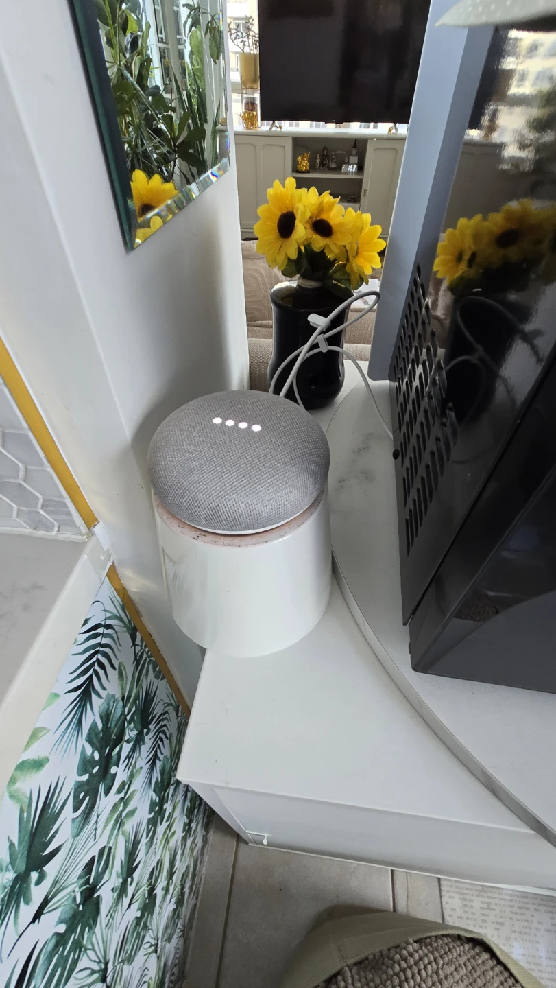 Google Home Mini - Smart Speaker