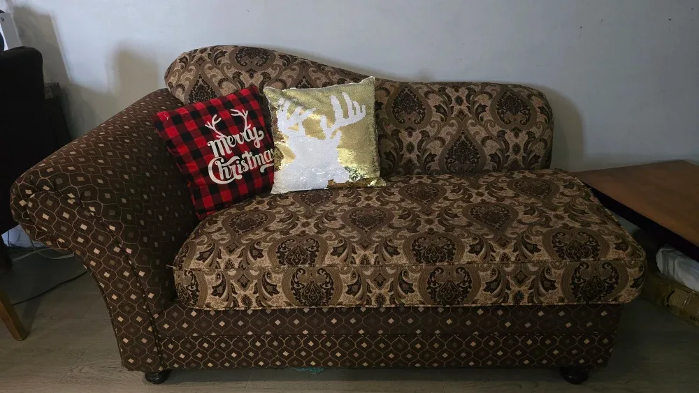 Patterned Chaise Lounge sofa image indicator(2)