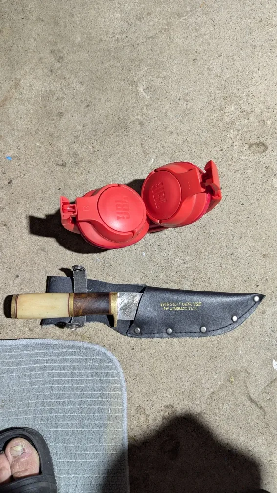 JBL Headphones (Red)