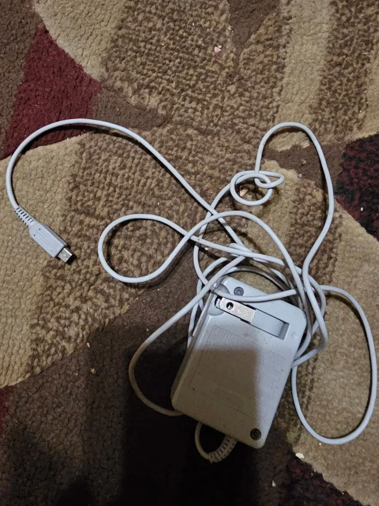 Nintendo is charger
