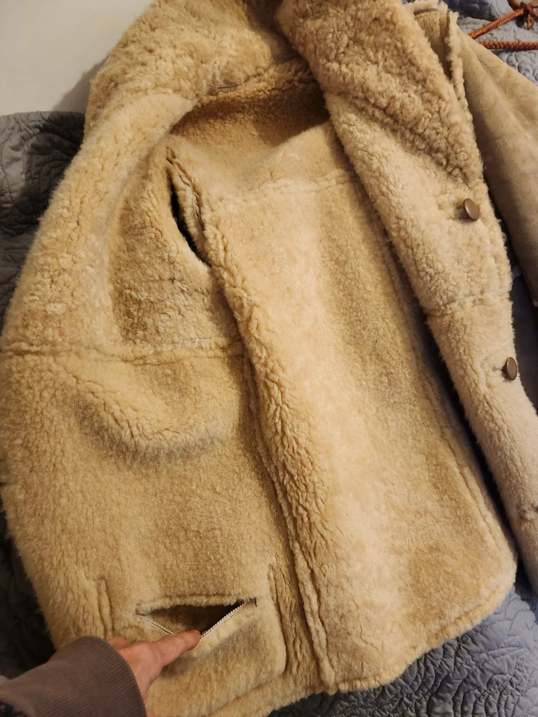 Shearling Coat🥕 image indicator(4)