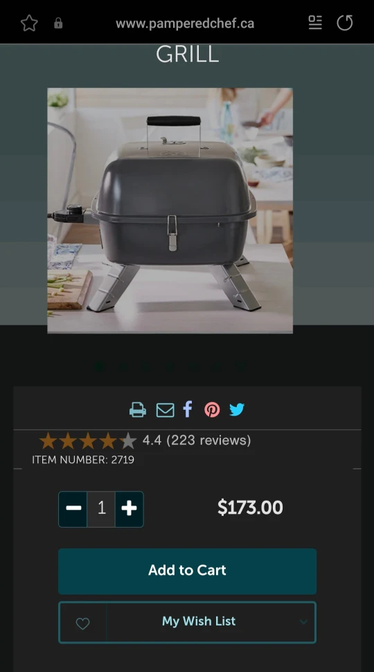 Pampered Chef Indoor Outdoor Portable Grill