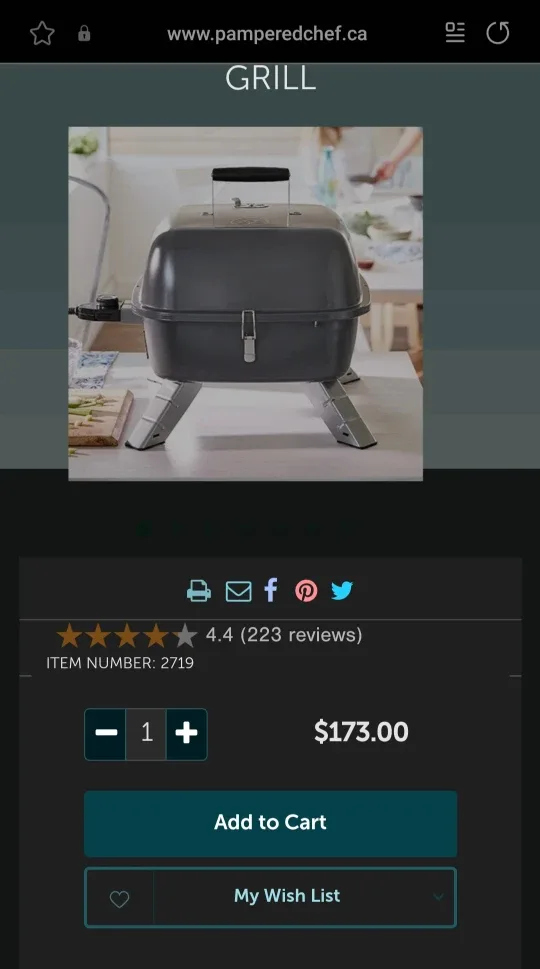 Pampered Chef Indoor Outdoor Portable Grill