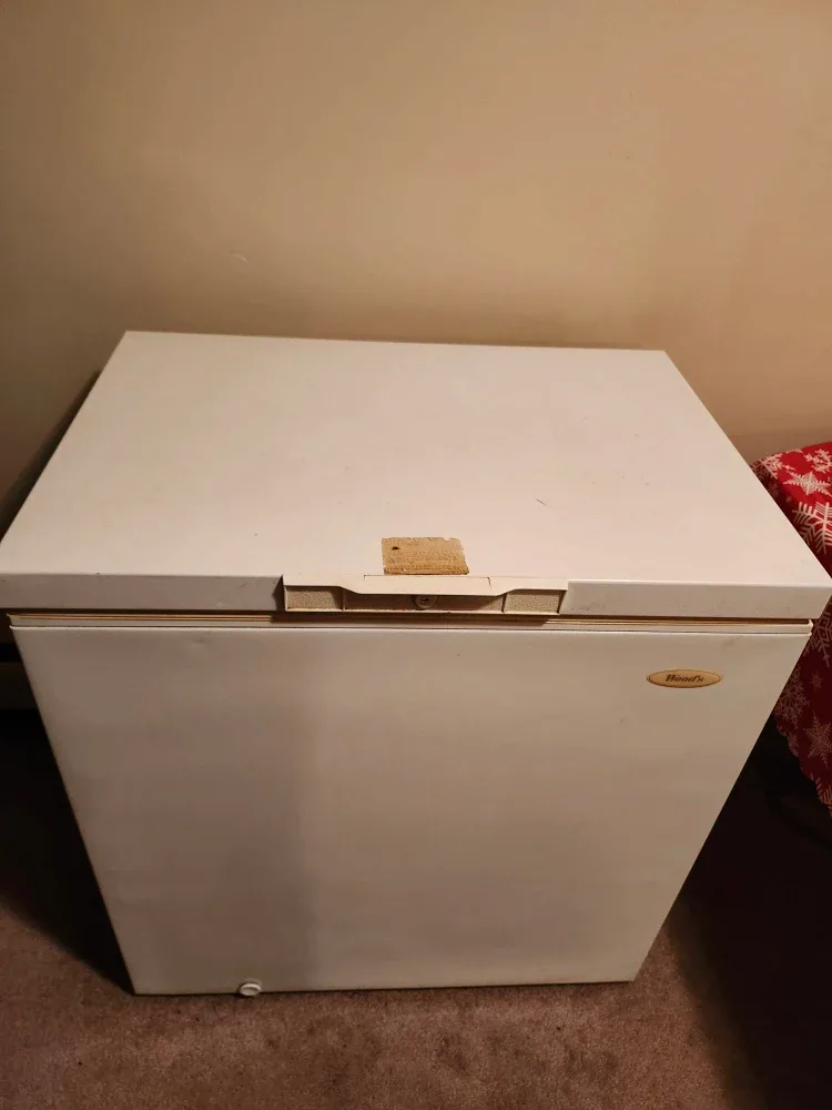 Freezer (food not included)