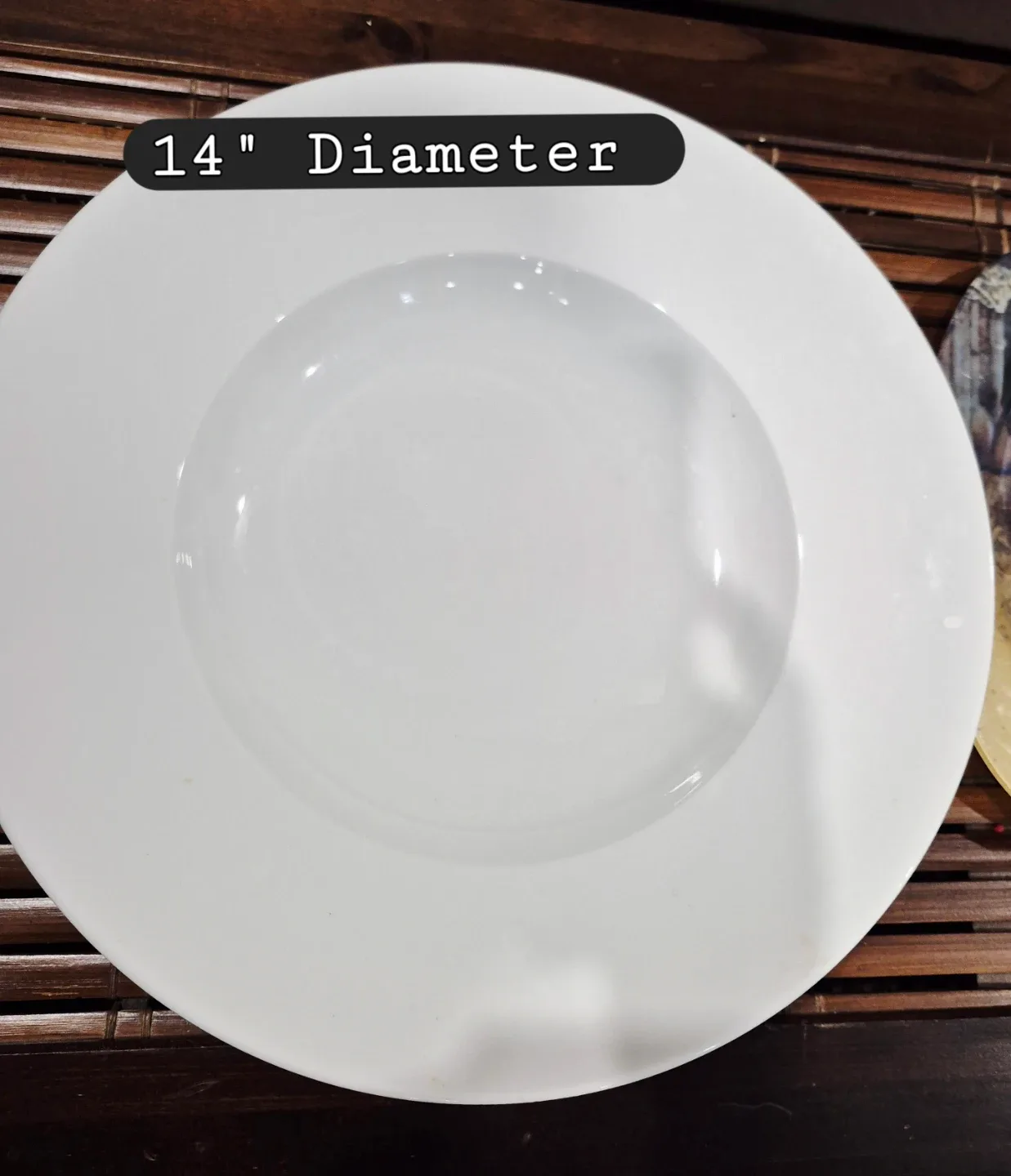 Basic 14" Diameter Porcelain Plate