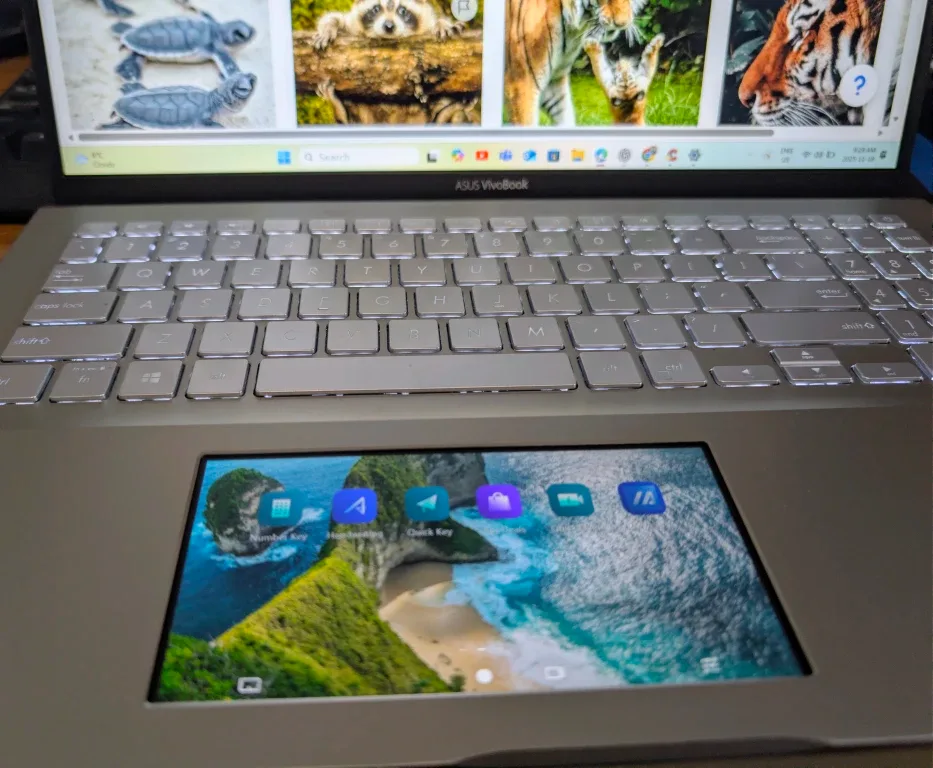 ASUS VivoBook S15 (X532FA / S532FA) image indicator(4)