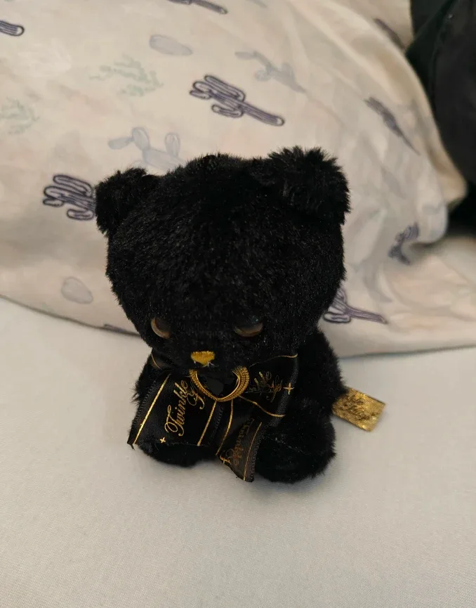 Twinkle Funny Black Bear Mini Plush image indicator(3)