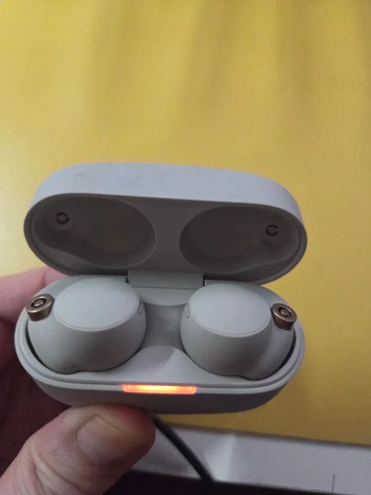 Sony wireless ear bud