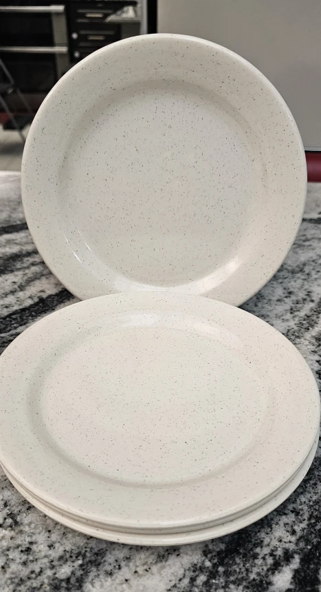 Speckled Dinner Plates