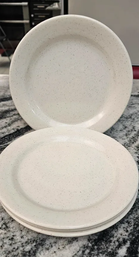 Speckled Dinner Plates
