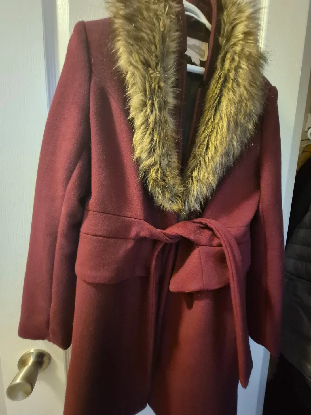 Forever 21 Burgundy Coat with Faux Fur Collar image indicator(3)