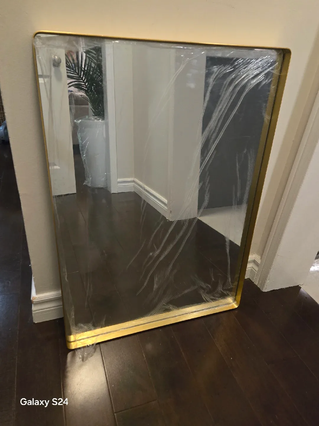 Gold Framed Mirror image indicator(3)