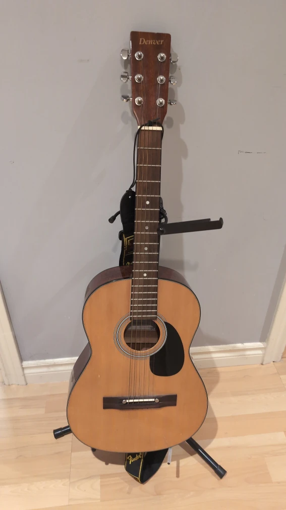 Denver Acoustic Guitar with Case