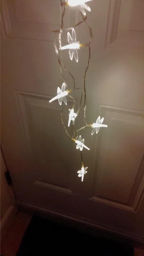 Dragonfly String Lights Battery Operated image indicator(8)