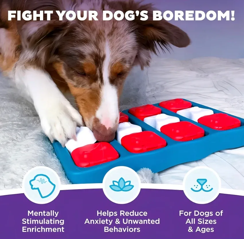 Interactive Dog Toy - Outward Hound by Nina Ottosson image indicator(4)