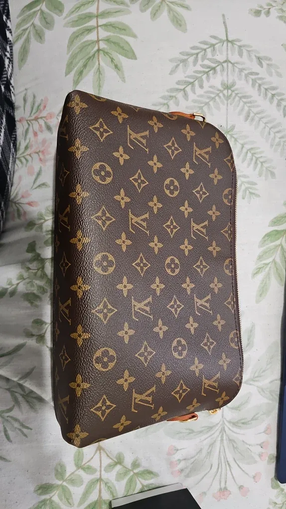 Louis Vuitton Monogram Handbag image indicator(4)