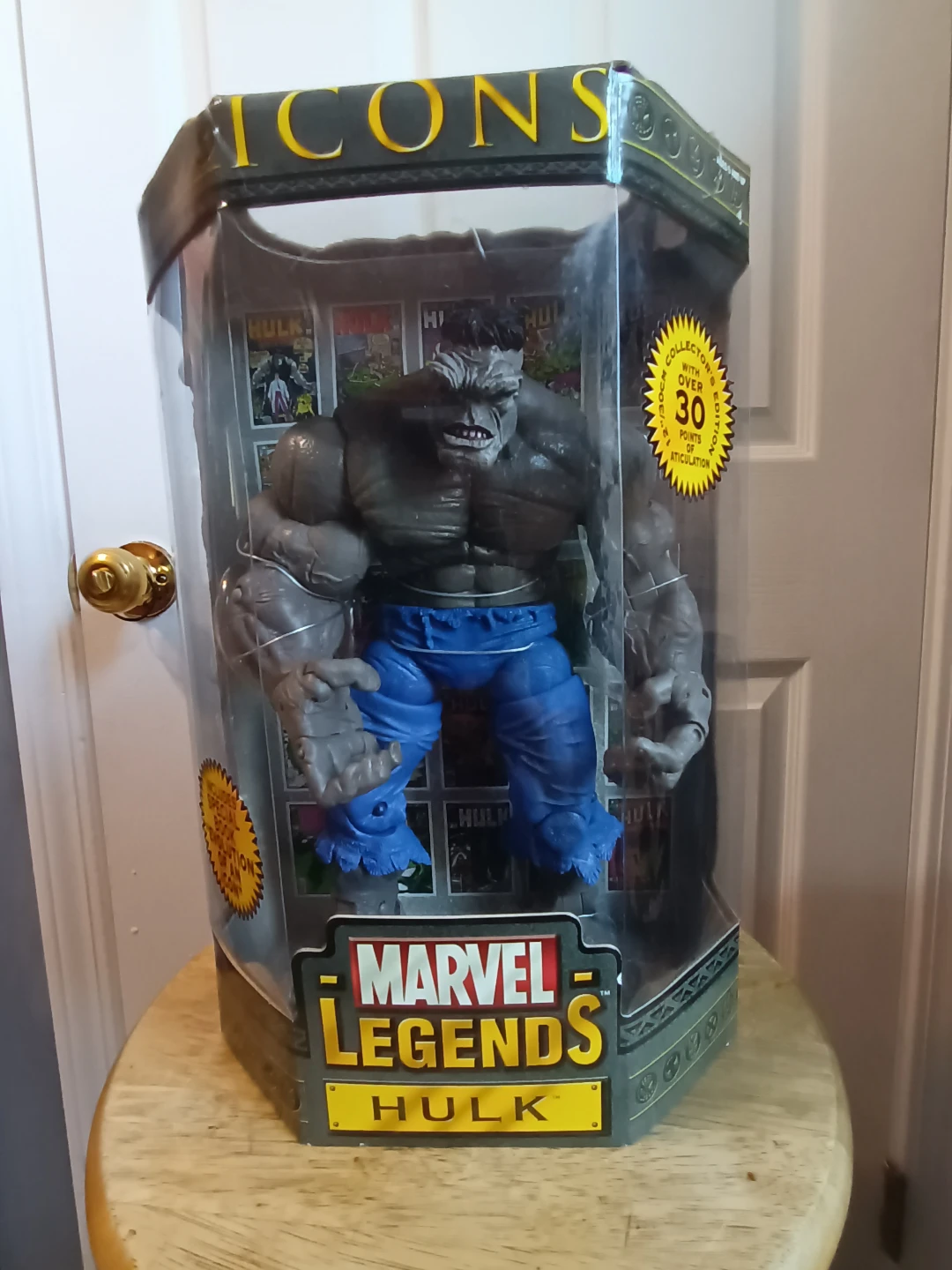Marvel Legends Icons Hulk Action Figure - New in Box!