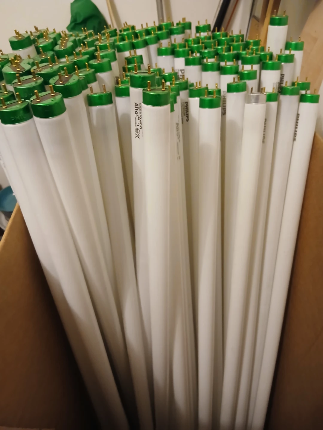 Philips Alto II Fluorescent Light Bulbs